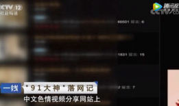 91大神视频在线观看